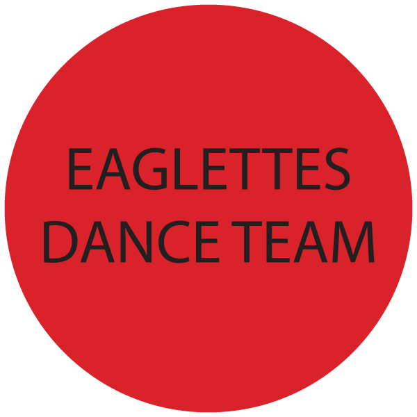 eaglettes dance team icon