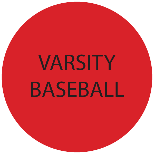 varsity baseball icon