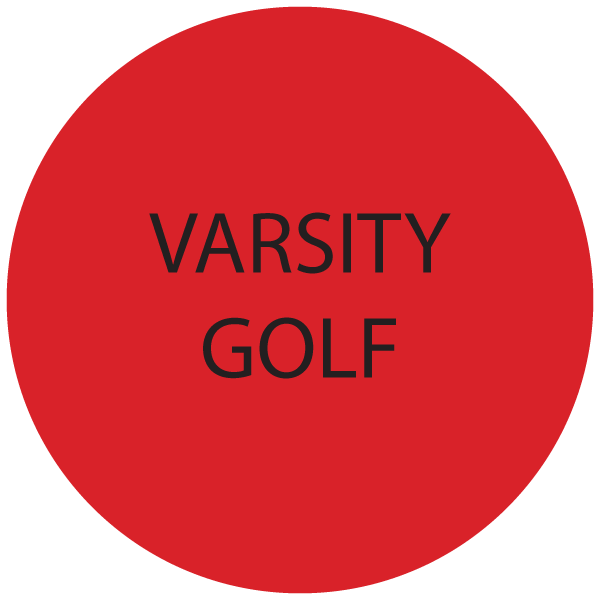 varsity golf icon
