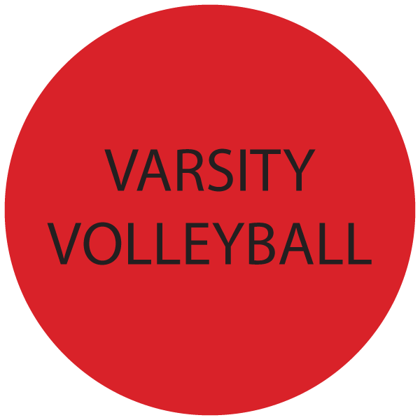 volleyball icon